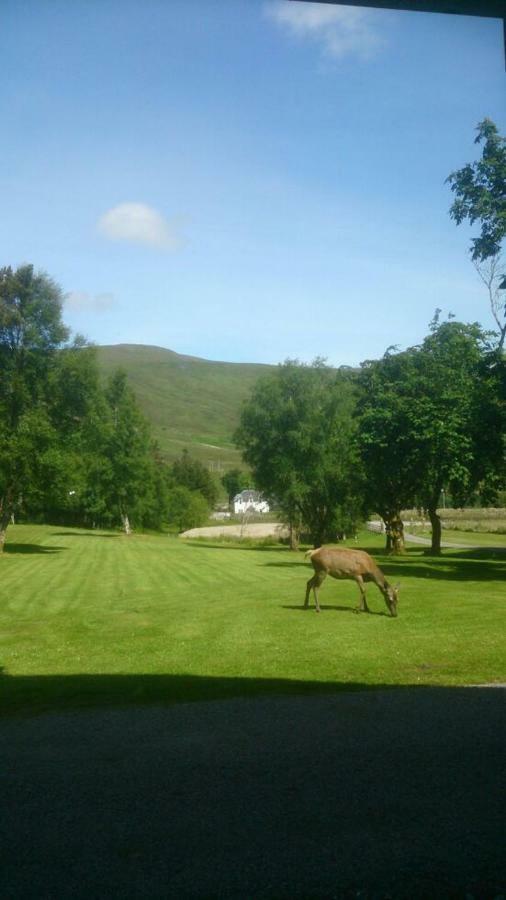 Ledgowan Lodge Hotel Achnasheen Exterior foto